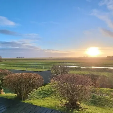 Doc Un Katt Comfortable