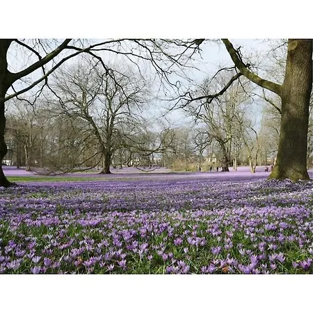 Doc Un Katt Comfortable Hébergement de vacances