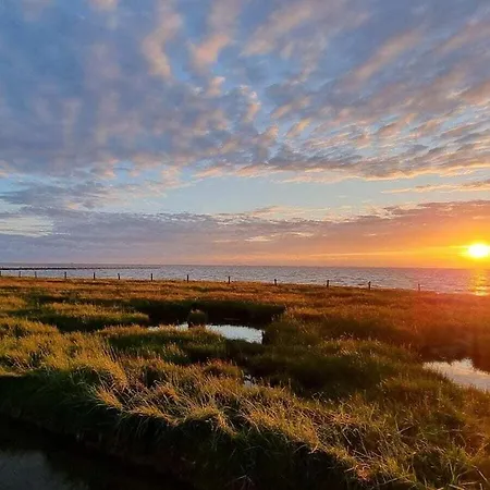 Doc Un Katt Comfortable * Nordstrand