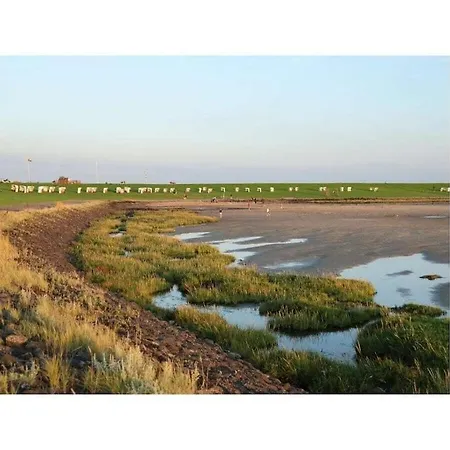 Doc Un Katt Comfortable *