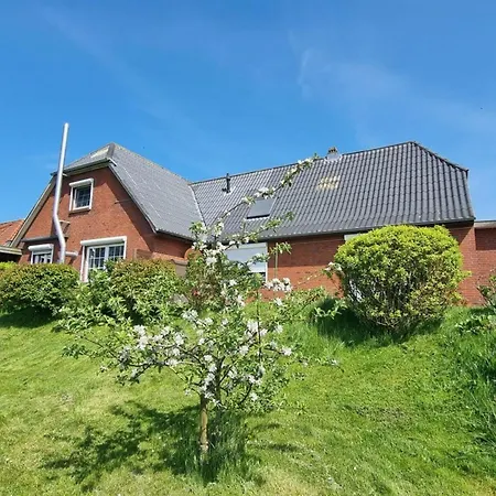 Doc Un Katt Comfortable Nordstrand