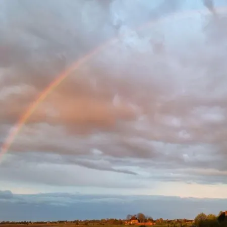 Feriehus Doc Un Katt Comfortable