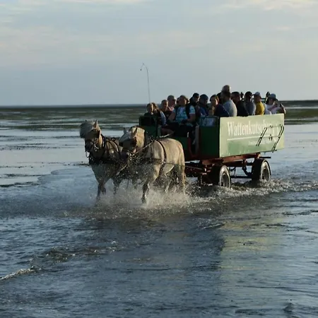 Doc Un Katt Comfortable * Nordstrand