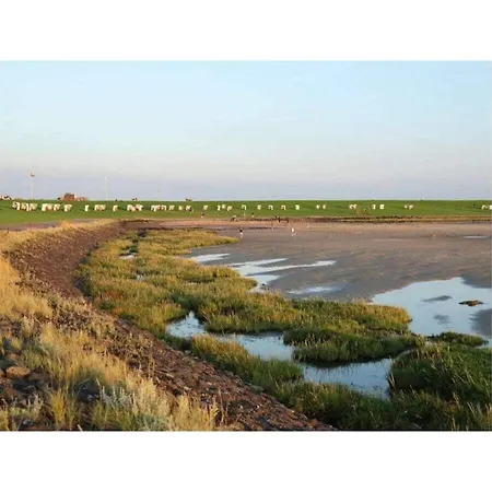 Doc Un Katt Comfortable Feriehus *