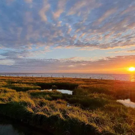 Feriehus Doc Un Katt Comfortable *